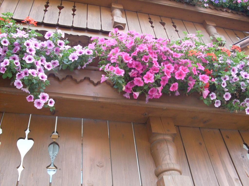 Landhaus Granat Mayrhofen Εξωτερικό φωτογραφία